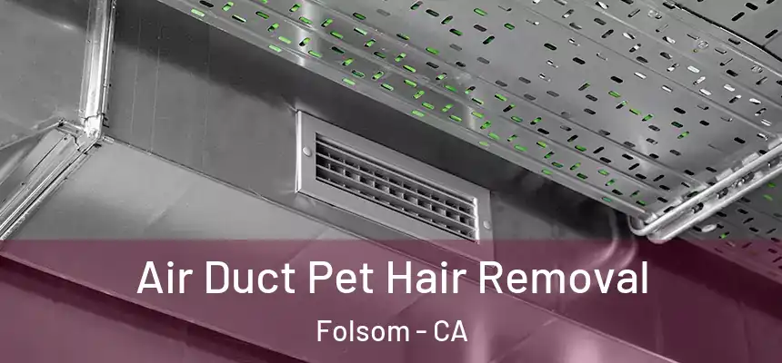 Air Duct Pet Hair Removal Folsom - CA