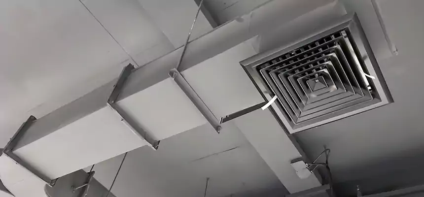 Restorative Allergy Relief Vent Cleaning – Coil, Blower & Housing Detail in Folsom