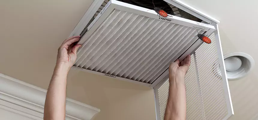 Our Insect Removal from Air Ducts Services in Folsom, CA