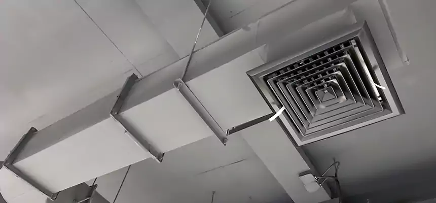 Our Pest Removal From Ducts Services in Folsom, CA