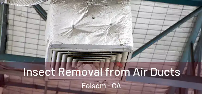 Insect Removal from Air Ducts Folsom - CA