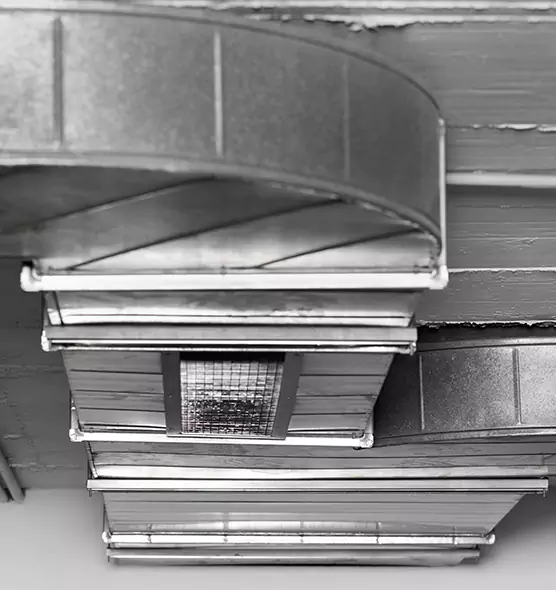 Professional Air Duct Pest Removal in Folsom, CA