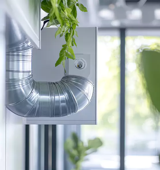 Professional Eco-Safe Dryer Vent Cleaning in Folsom, CA