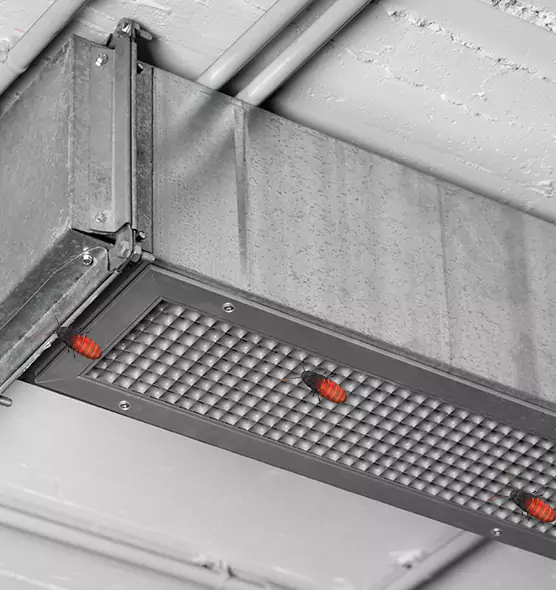 Affordable Insect Removal from Air Ducts in Folsom, CA
