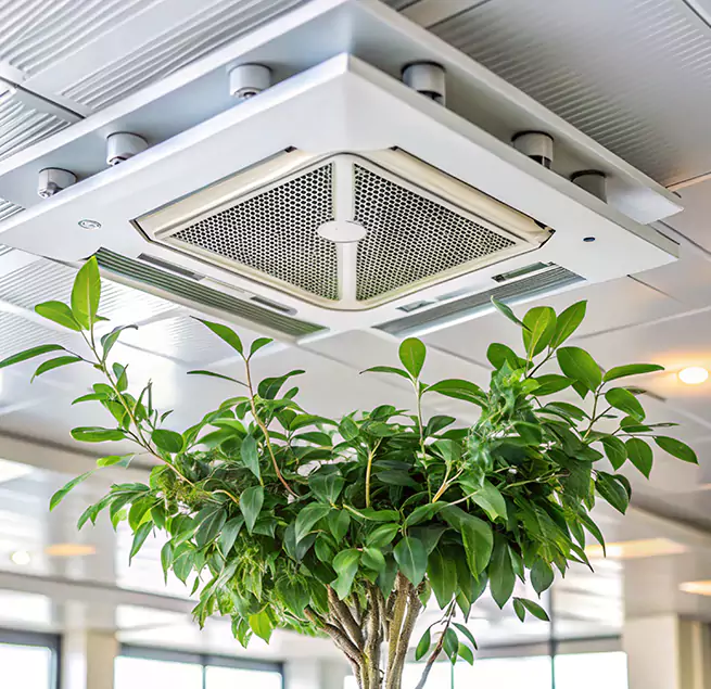 Why Homeowners & Businesses Trust Us in Folsom, CA?